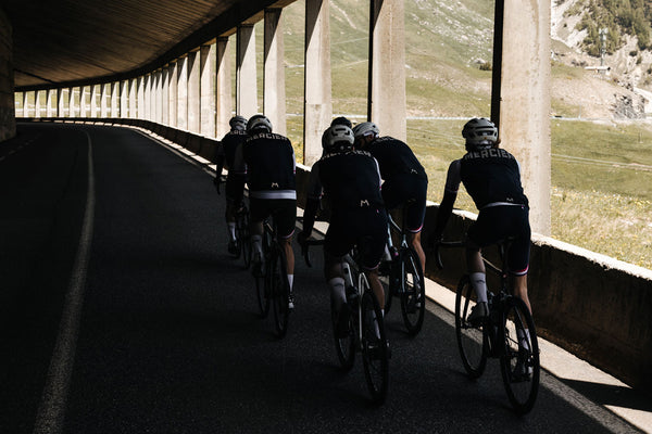 Mercier Rides - Alpes du sud