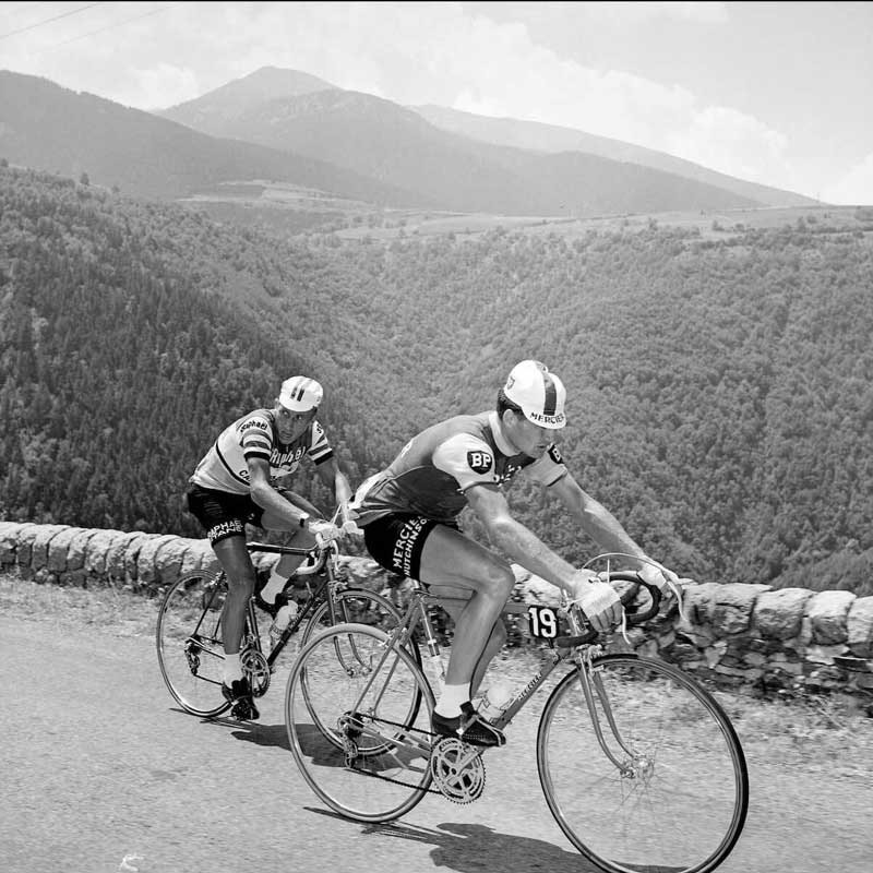 Anquetil, Poulidor